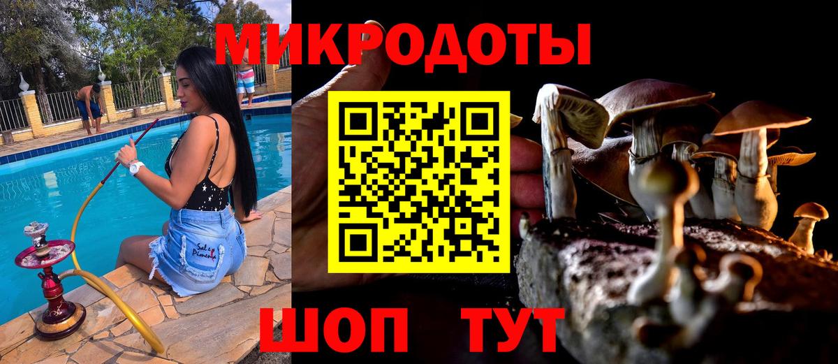 Псилоцибиновые грибы GOLDEN TEACHER Углич