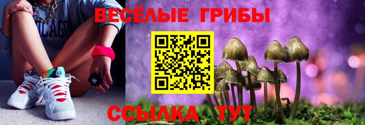 Галлюциногенные грибы ЛСД  Псилоцибиновые грибы Cubensis  Вход с VPN  Углич 